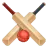 Críquet icon